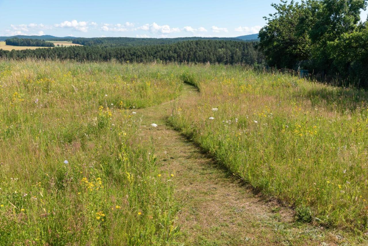 Moderne, Gemuetliche Dg-Wohnung In Ruhiger Lage Neunburg vorm Wald Dış mekan fotoğraf