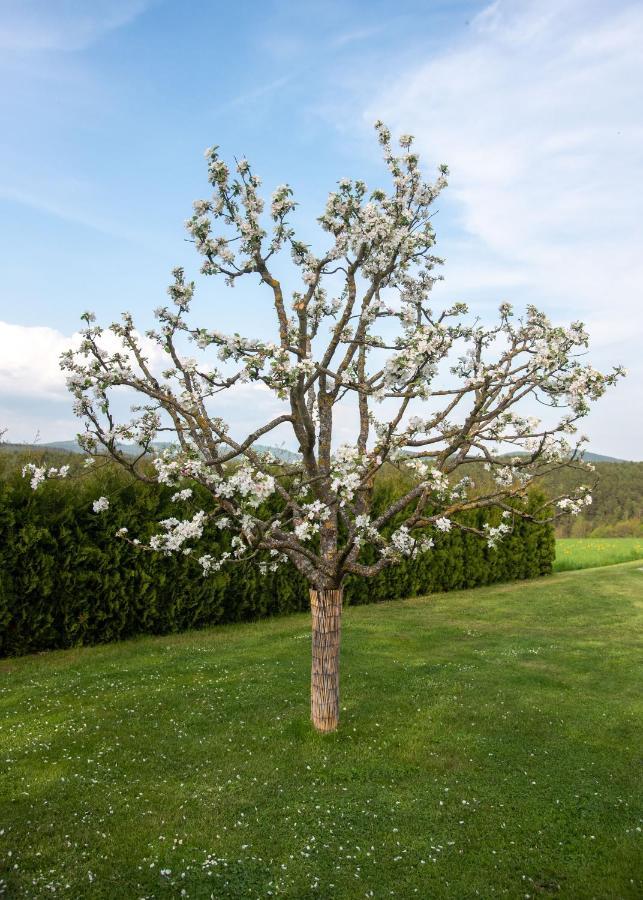Moderne, Gemuetliche Dg-Wohnung In Ruhiger Lage Neunburg vorm Wald Dış mekan fotoğraf