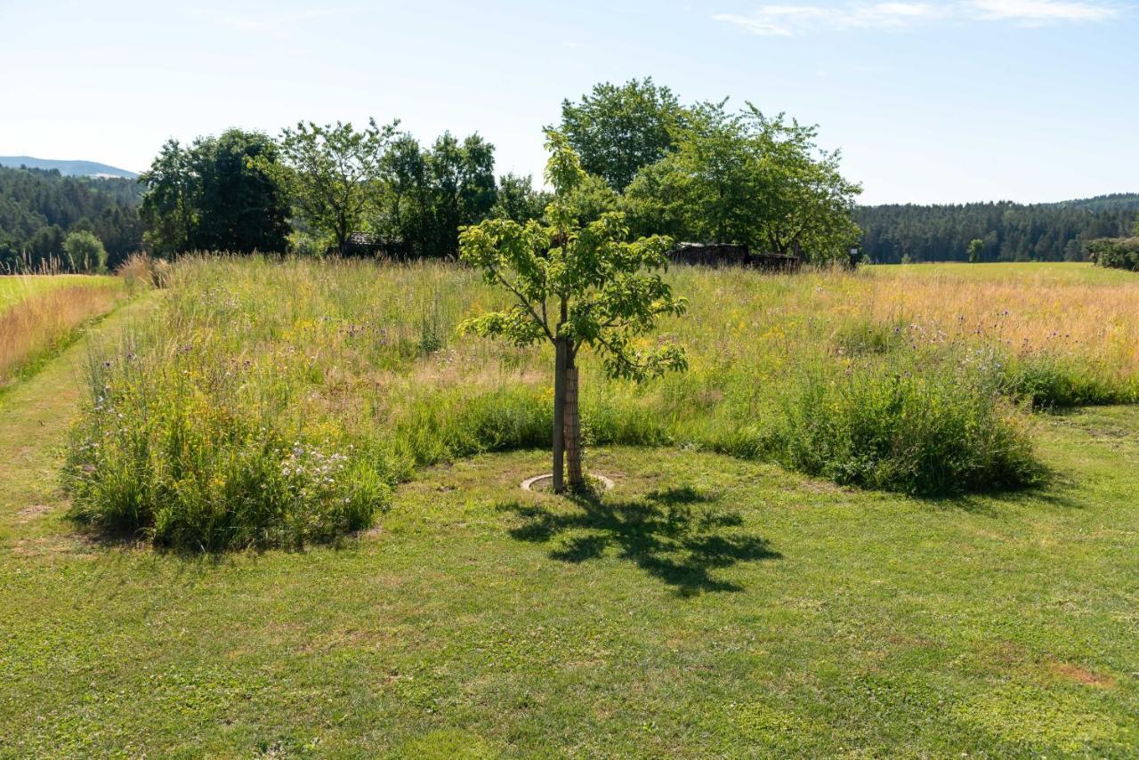 Moderne, Gemuetliche Dg-Wohnung In Ruhiger Lage Neunburg vorm Wald Dış mekan fotoğraf